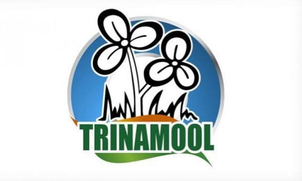 Mamata Banerjees TMC removes Congresss name from its logo