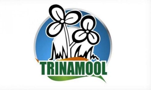 Mamata Banerjees TMC removes Congresss name from its logo