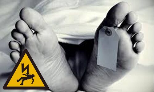 Trying to save pet dog, man electrocuted