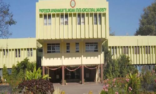 PJTSAU, IRRI enter into MoU to develop rice varieties