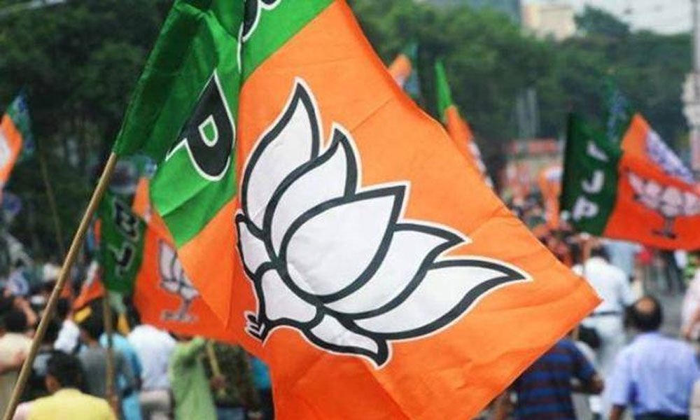 Lok Sabha polls: BJP announces 15 in Gujarat, drops Surendranagar MP