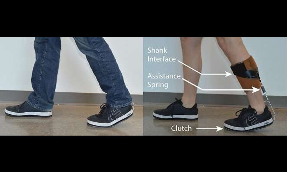 New ankle exoskeleton fits under clothes for potential wider usage