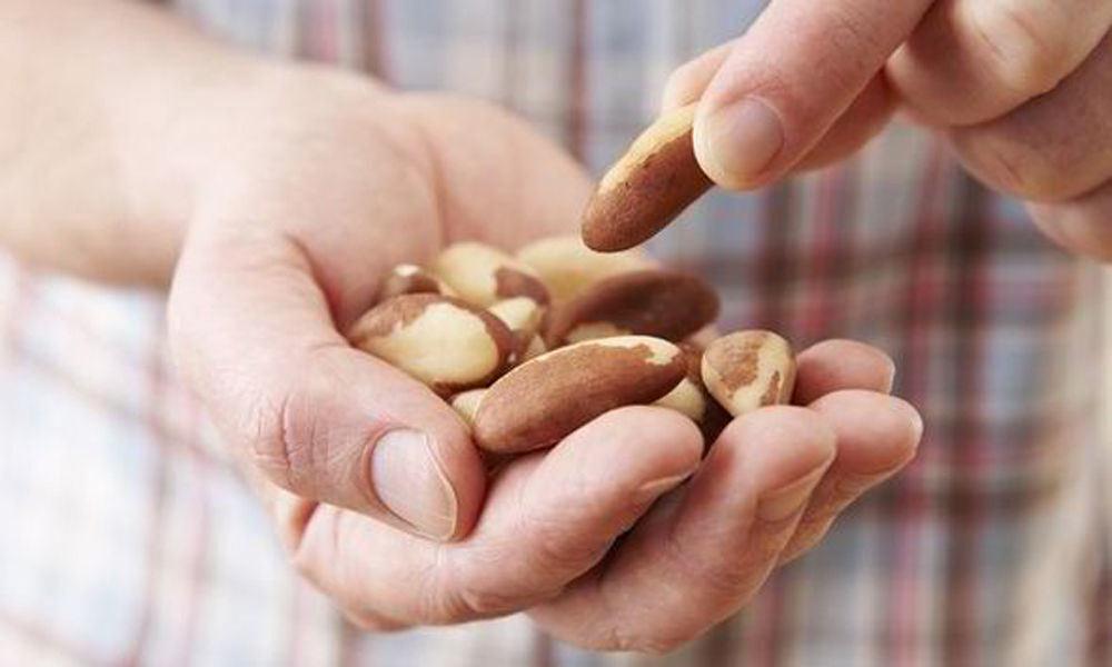 Handful of nuts daily can boost memory in elderly