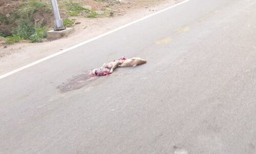 Residents fume over reckless driving