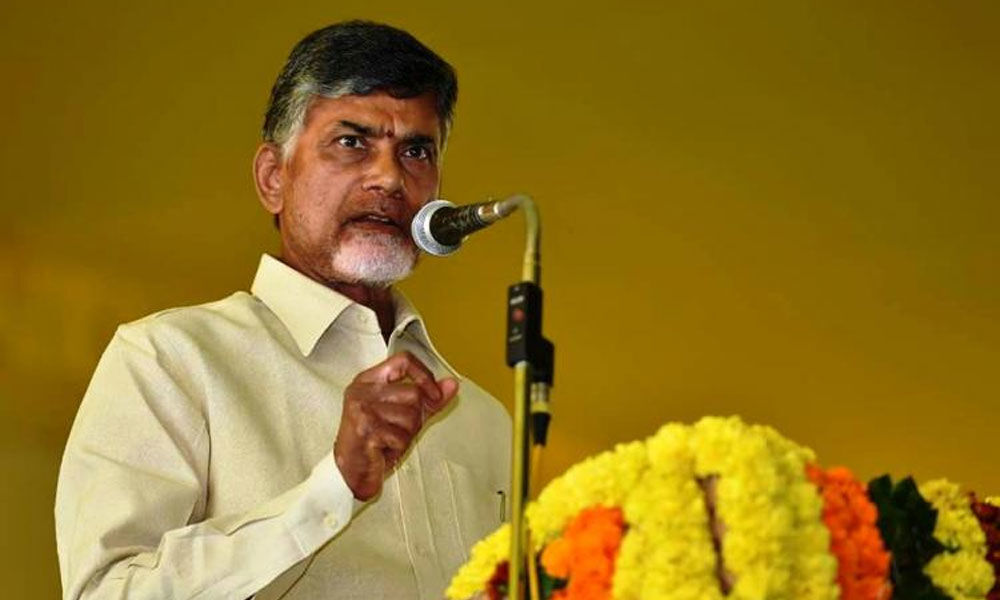 CM Chandrababu Naidus election campaign on 25 March