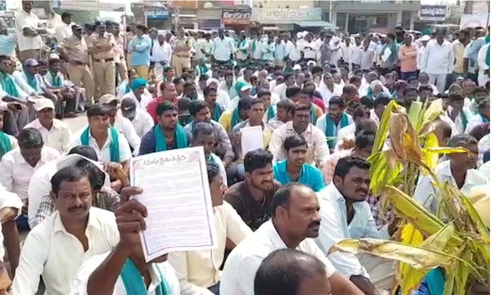 Nizamabad farmers come up with unique way, demands MSP for red jowar and turmeric