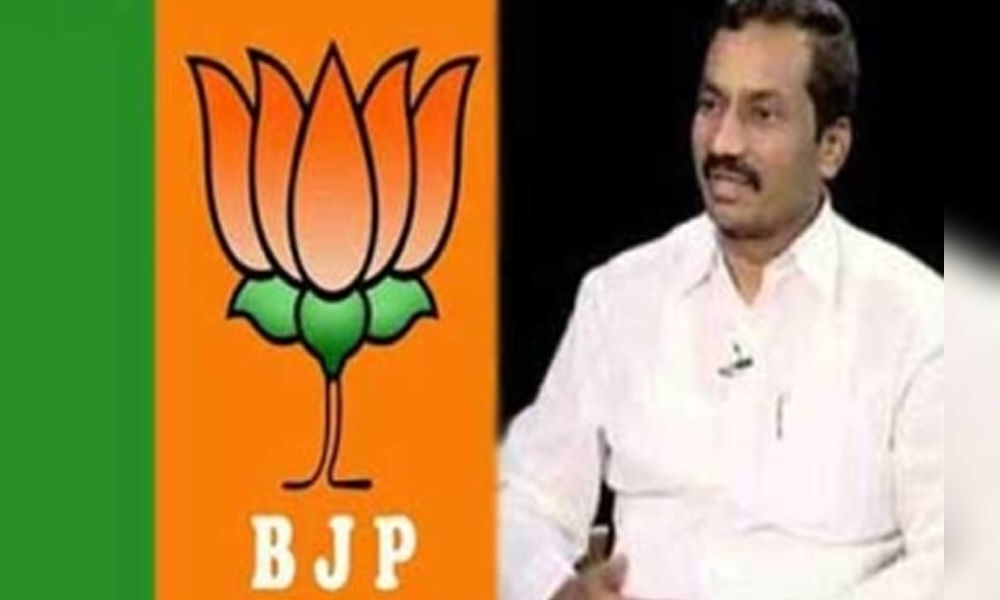 Image result for BJP leader Raghunandan Rao