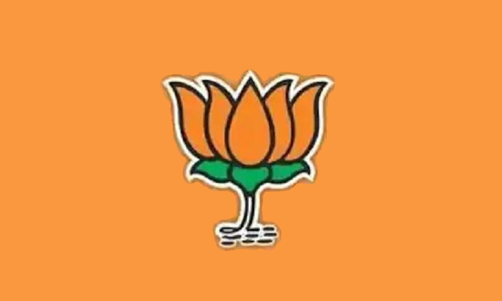 BJP appeals to electorate to vote for stability