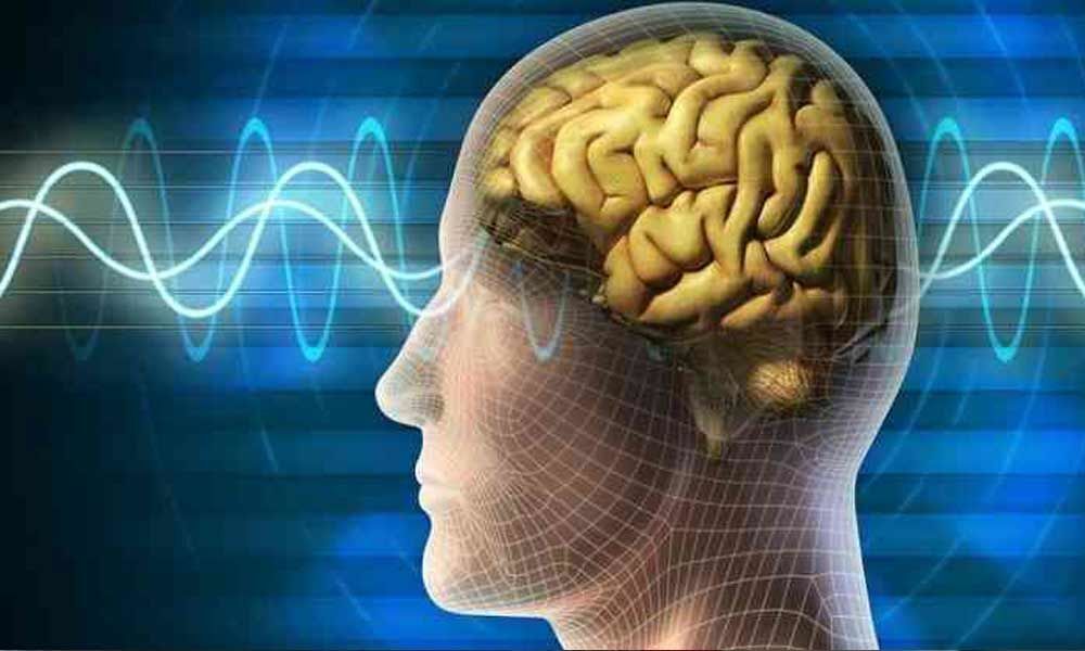Human brain can detect changes in Earths magnetic field: Study