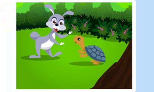 The hare & the tortoise