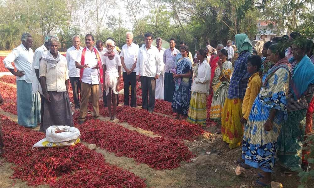 CPM candidate meets chilli farmers, promises to solve their issues