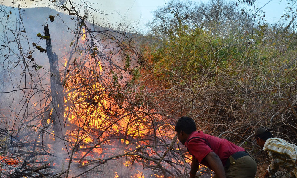 TTD gears up to prevent forest fire