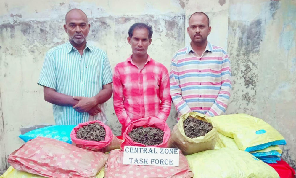 3 held with 40 kg ganja at Narayanguda