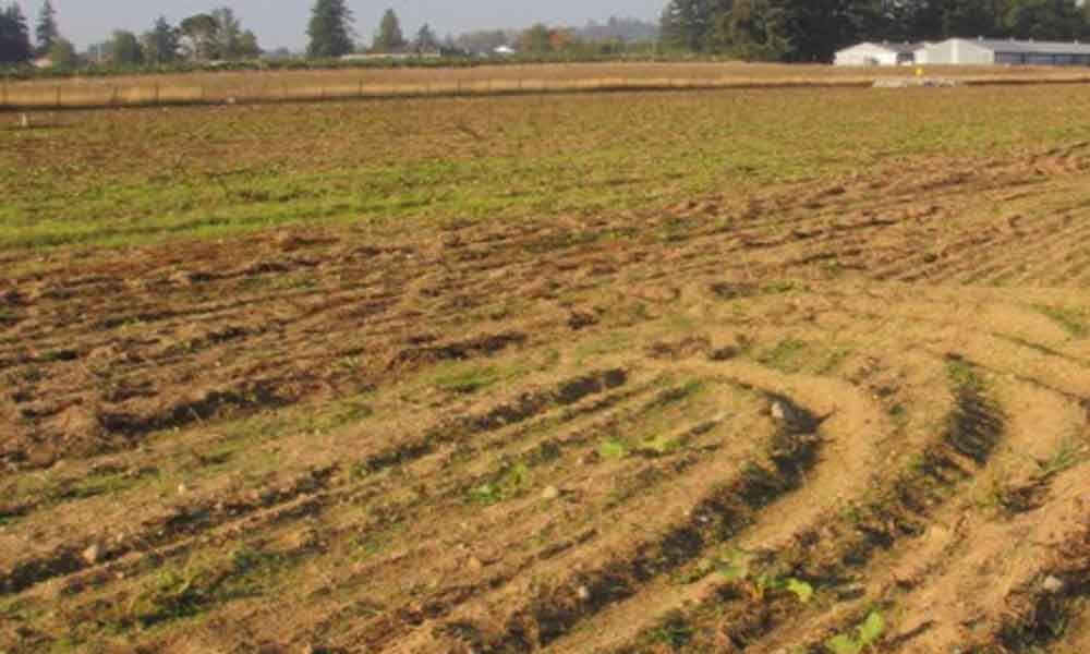 Convert agriculture land into residential land