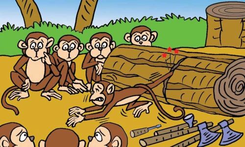 The monkey and the wedge