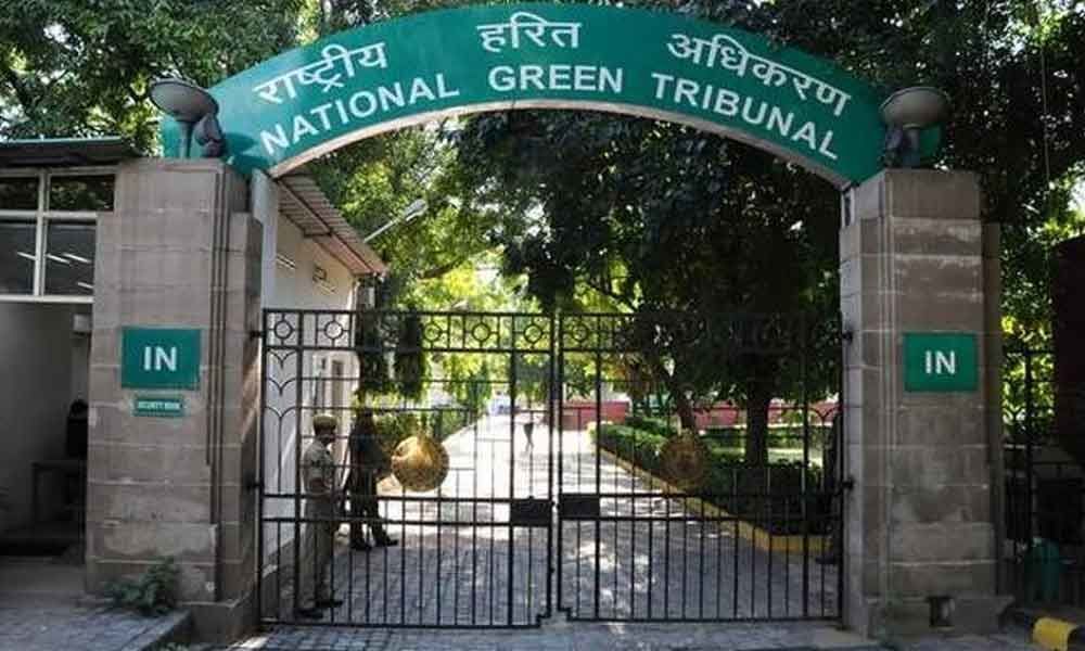 NGT directs UP authorities to act against river water pollution