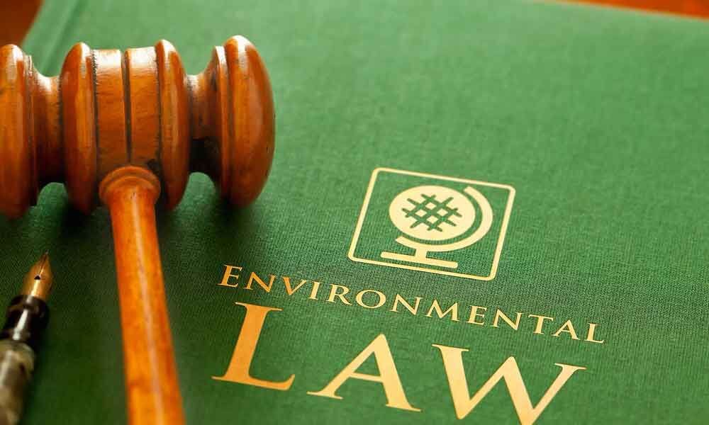 Jindal varsity-WWF offer course on environmental law