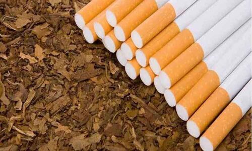 Researcher probing if tobaccos native forms less harmful