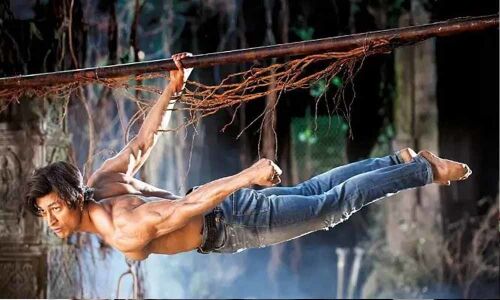 Junglee Movie Review