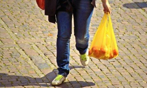 New York poised to ban single-use plastic bags