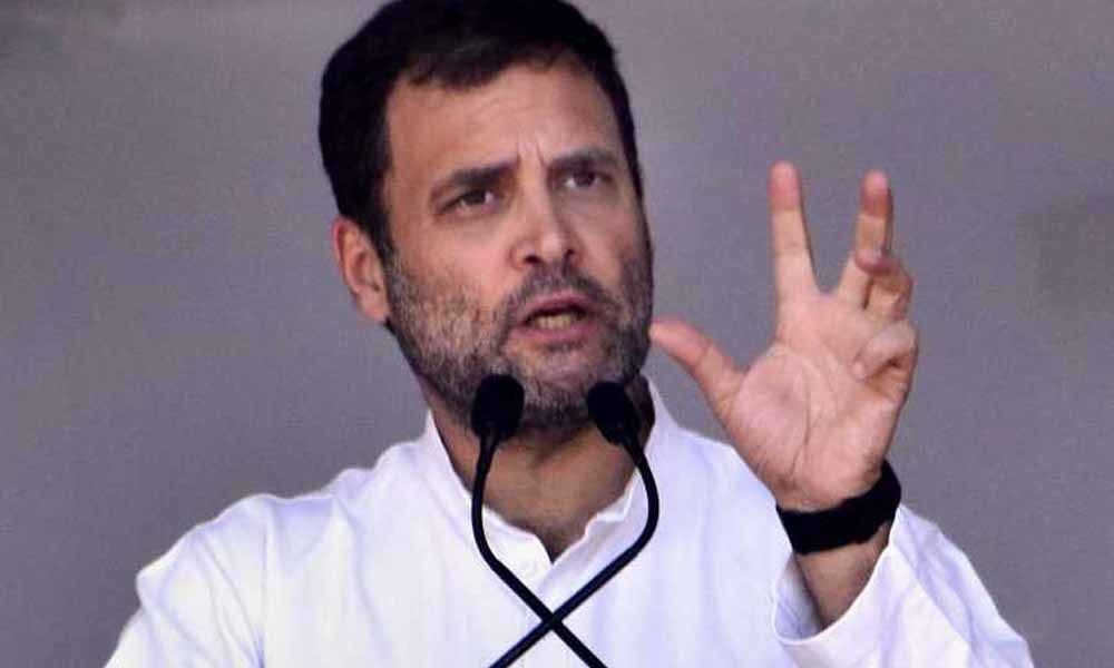 If Congress wins, rural youths will be employed to improve environment: Rahul Gandhi