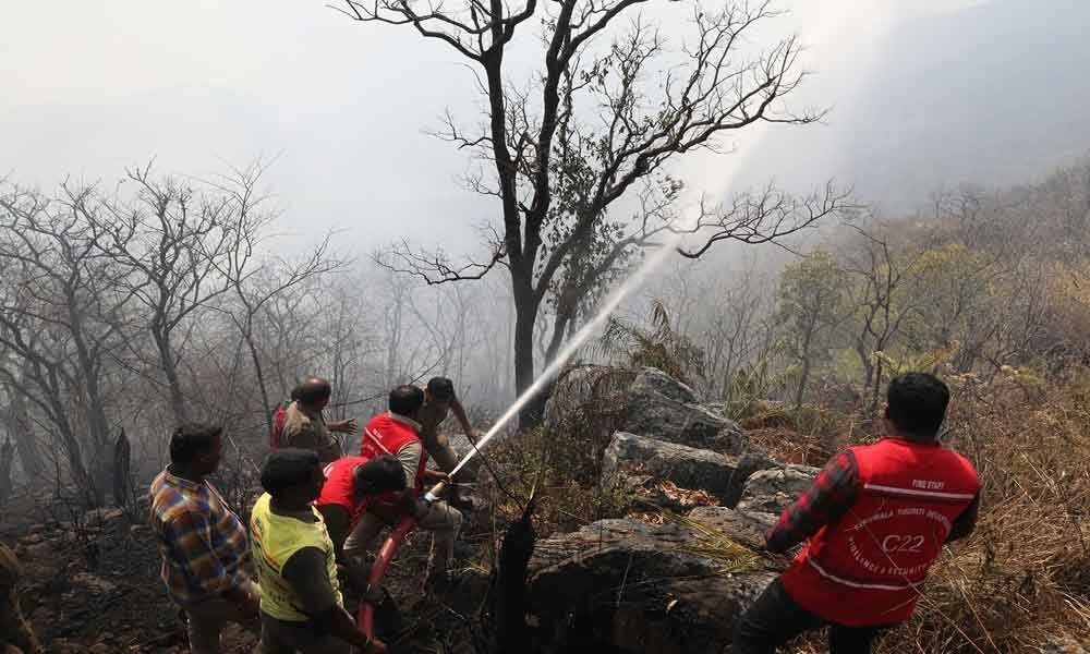 Forest fire under control: JEO