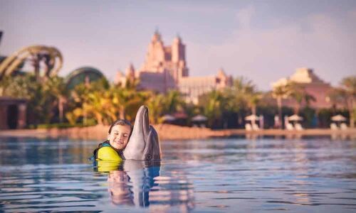 Embrace the holidays