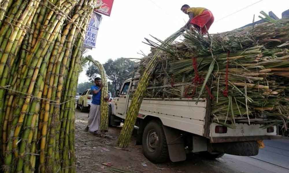 Lok Sabha Polls 2019: Elections strike sour note across UPs sugarcane belt