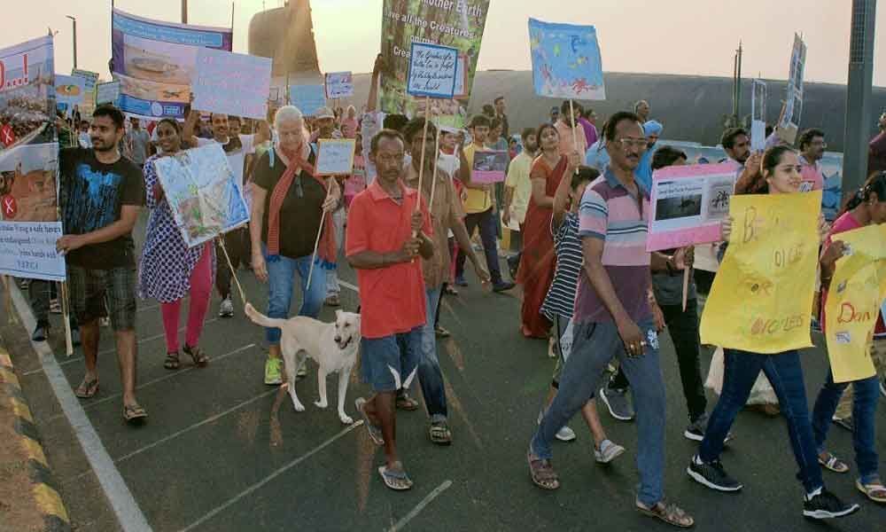 70 take part in Save Olive Ridley rally