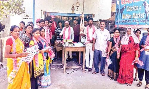 Brisk campaign apace by TRS party activists