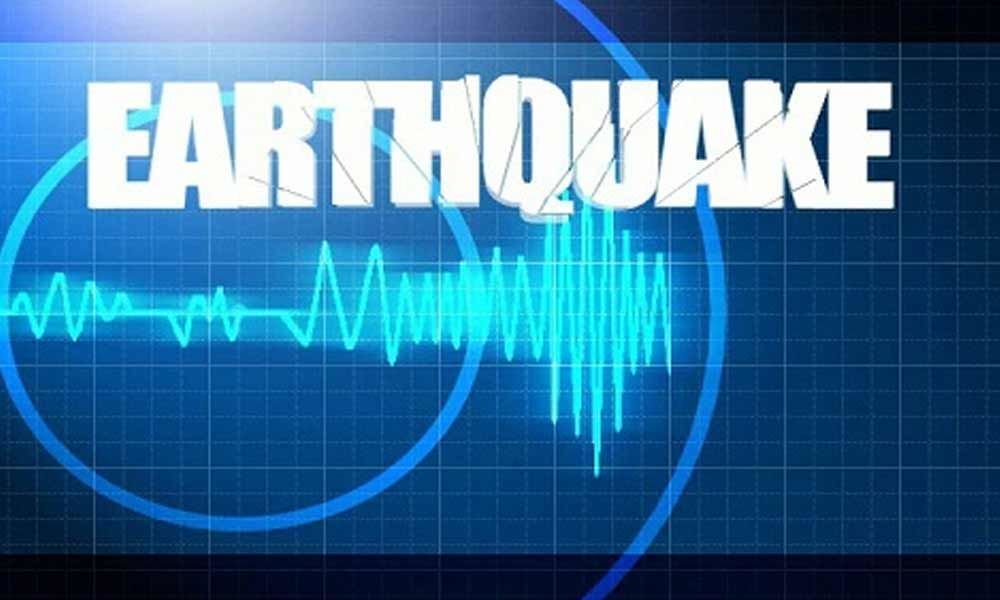 Nine earthquakes hit Andaman-Nicobar Islands in span of two hours