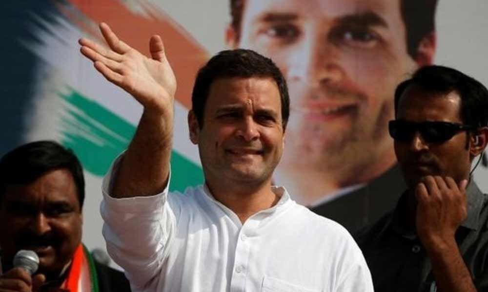 Why should Rahul contest from two seats?