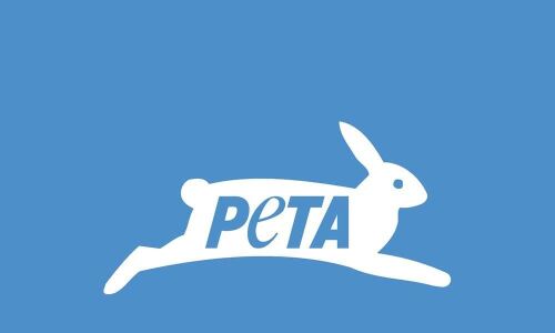 PETA asks parties not to use animals in campaign