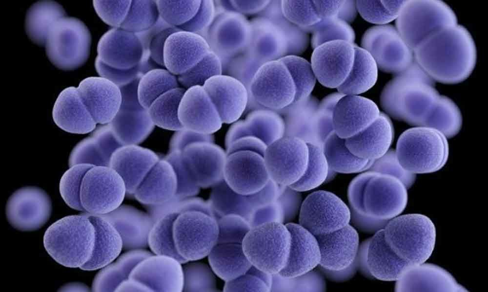 Blue light could treat superbug infections: Study