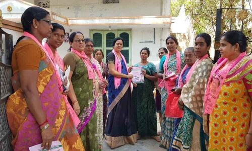 Lakshmi campaigns for Marri