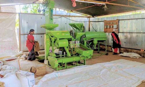 Transforming farmers into agripreneurs