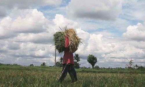 Skymet predicts below normal monsoon