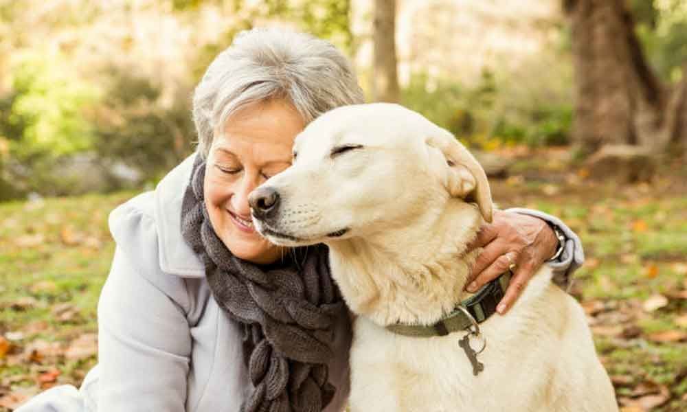 Pets help boost health of older people: Study