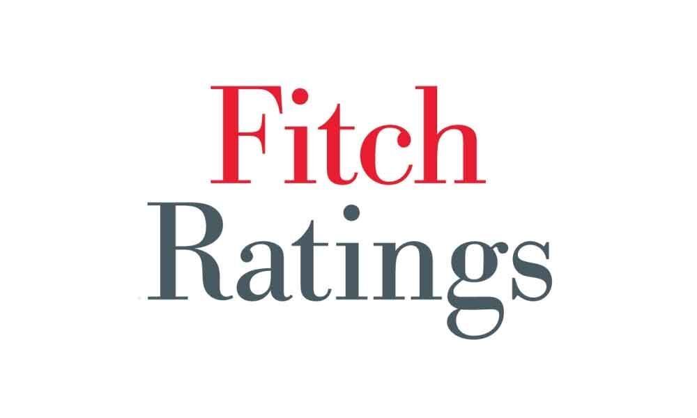 Fitch flags high joblessness
