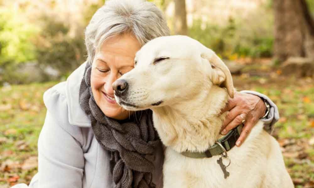 Pets help boost health of older people