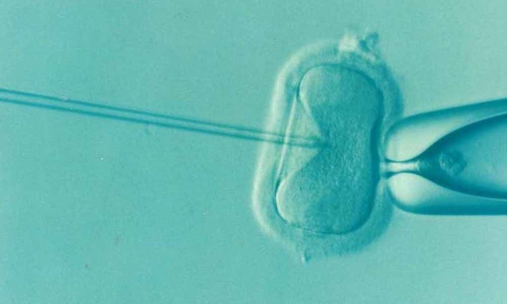 New artificial intelligence approach may boost IVF success