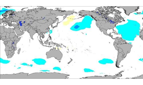 Who will do surgical strike on El Nino?