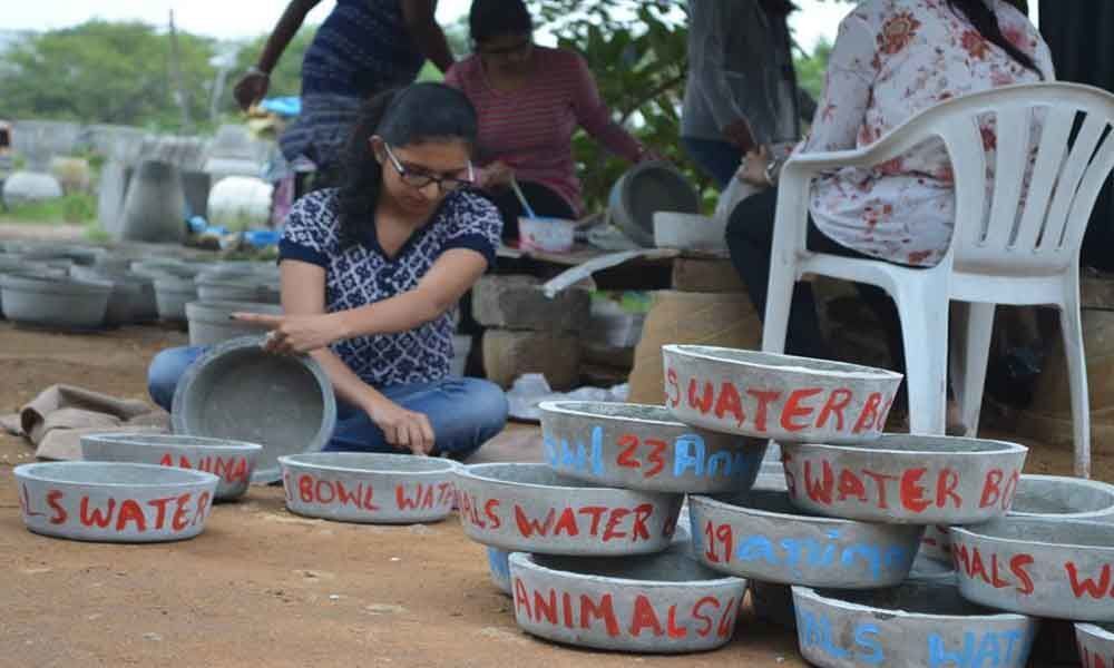 Colourful water bowls beckon winged visitors