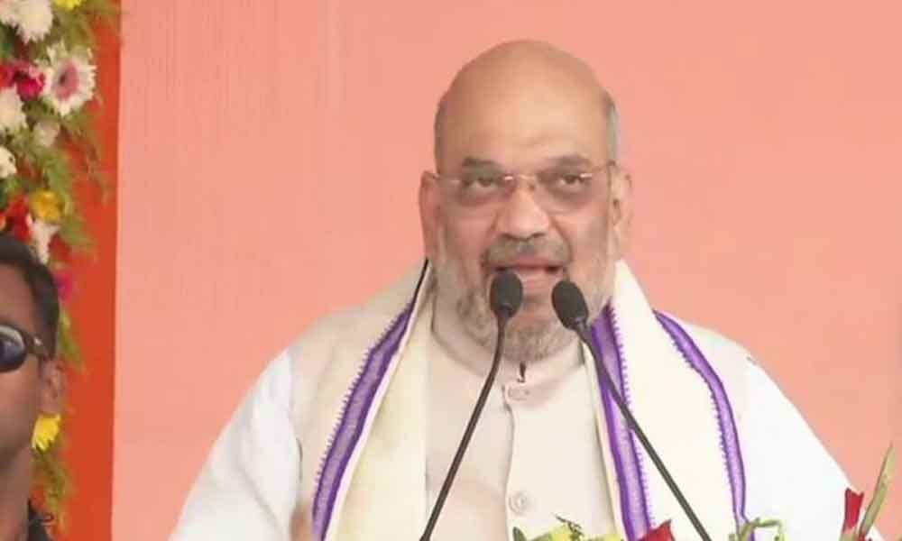 Amit Shah cancelled Maha poll rallies as people didnt turn up: NCP