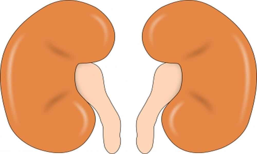 Vitamin D excess may lead to kidney failure