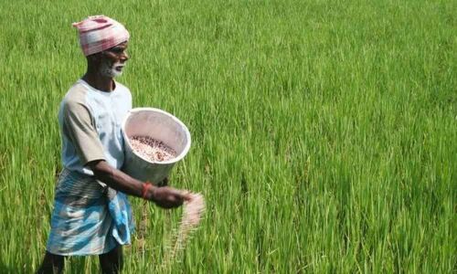 BJP promises a pension scheme for farmers over 60