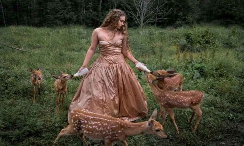 Open call for Indian Photography Festival