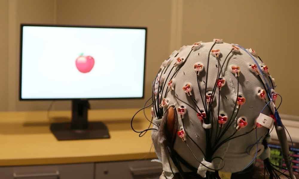 Brain zaps boost memory in people over 60: Study