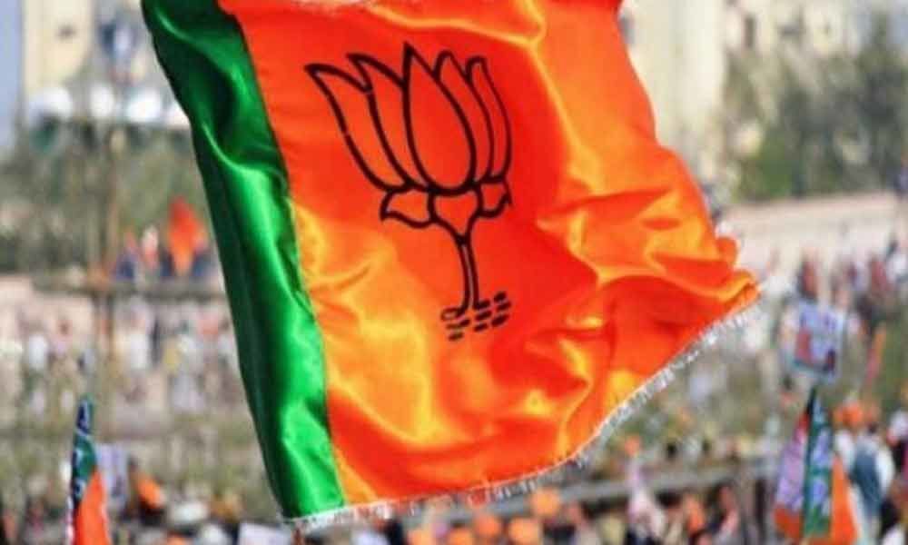 Several economic promises of BJP too tall: Experts