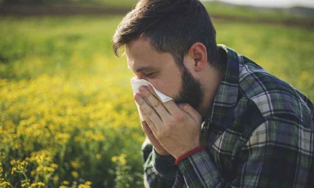 Grass pollen can help predict asthma, hay fever